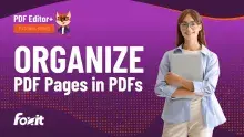 An individual stands confidently with a light blue shirt, holding a laptop against a vibrant purple background. The text 'ORGANIZE PDF Pages in PDFs' is prominently displayed in white, alongside the 'PDF Editor+ Tutorial Series' label at the top and the Foxit logo at the bottom. 