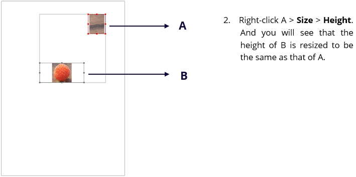 Resize Multiple Images