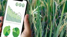 Frontier Farm Credit Case Study