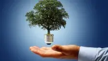 The New York State Department of Environmental Conservation (NYSDEC) Case Study